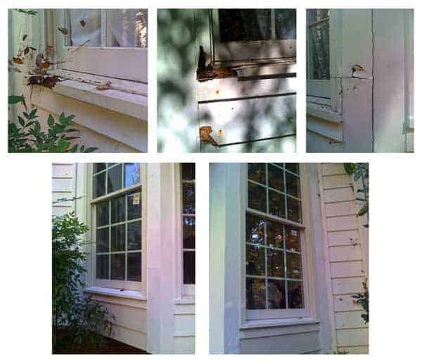 When window sill rot isn't repaired quickly, most of the time you end up having to replace the window and surrounding trim