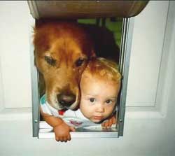 Dog doors are for dogs, but lots of children try crawling through them too