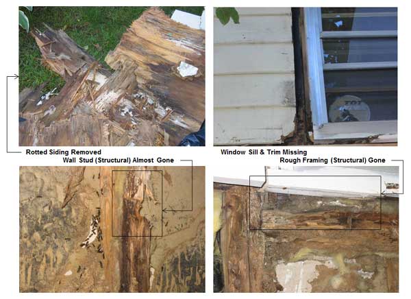 rotted siding, window trim, window & missing structural framing are common jobs for a handyman business with the top project being to repair rotted window sill