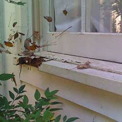 Window sills often get wood rot because soot collects in the corners and holds water