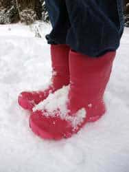 Winter means snow, ice, salt and more is being tracked into your home and damaging your floors