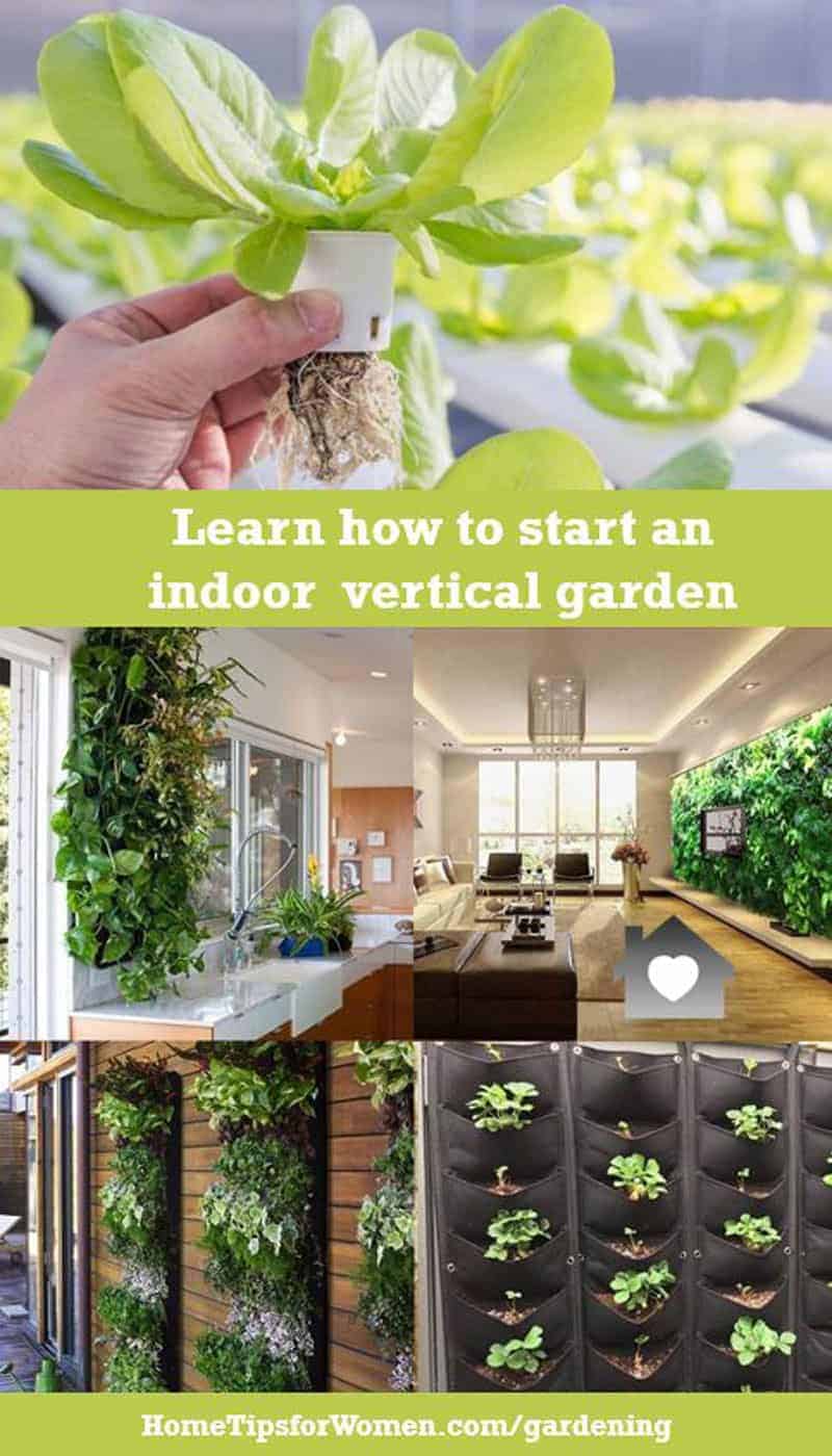 more homeowners are planting indoor gardens, vertical ones using hydroponics