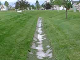 swale used for water drainage instead of french drain