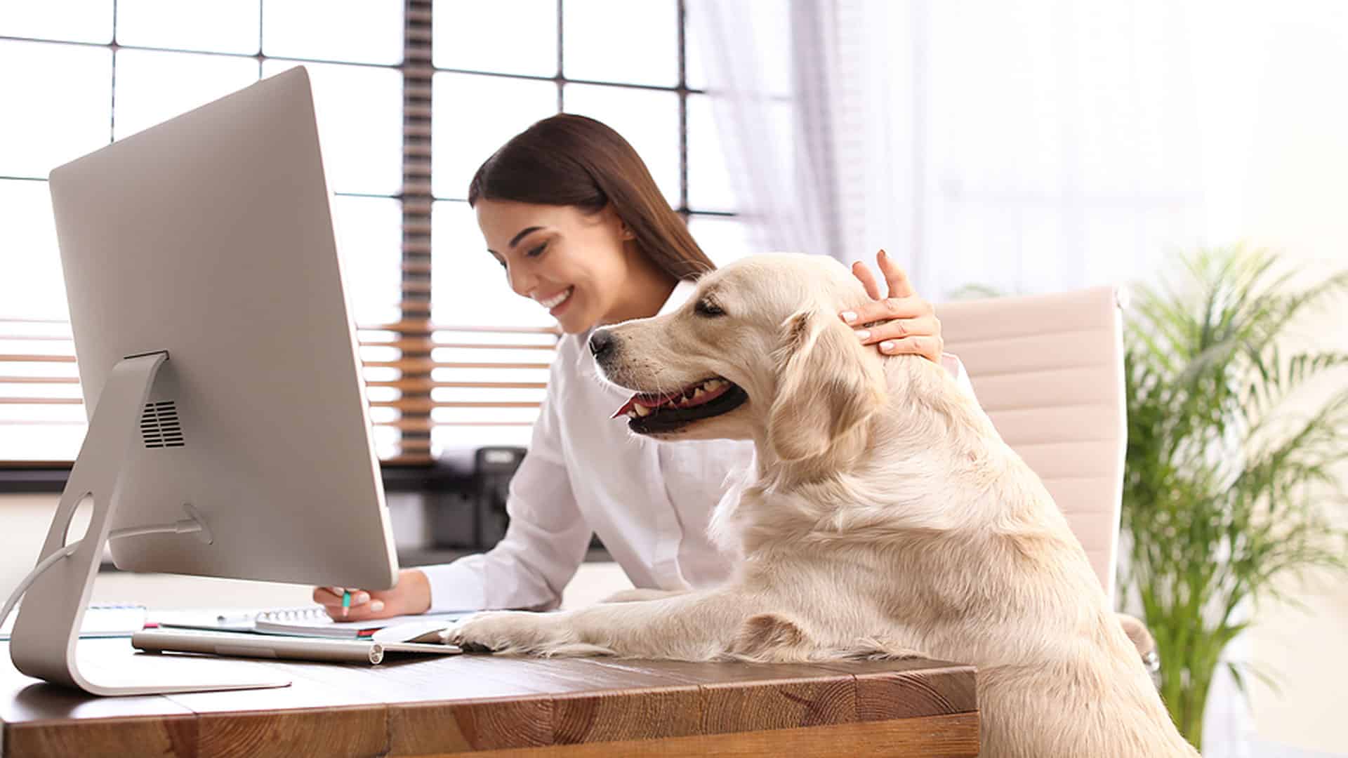 working at home means your home to work your dog when it's time to get out of your home office