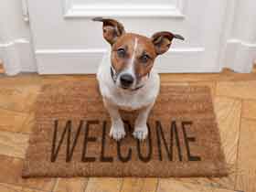 floor mats by the front door protect your home's floors