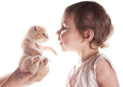 taking photos for your pet records can help prove ownership