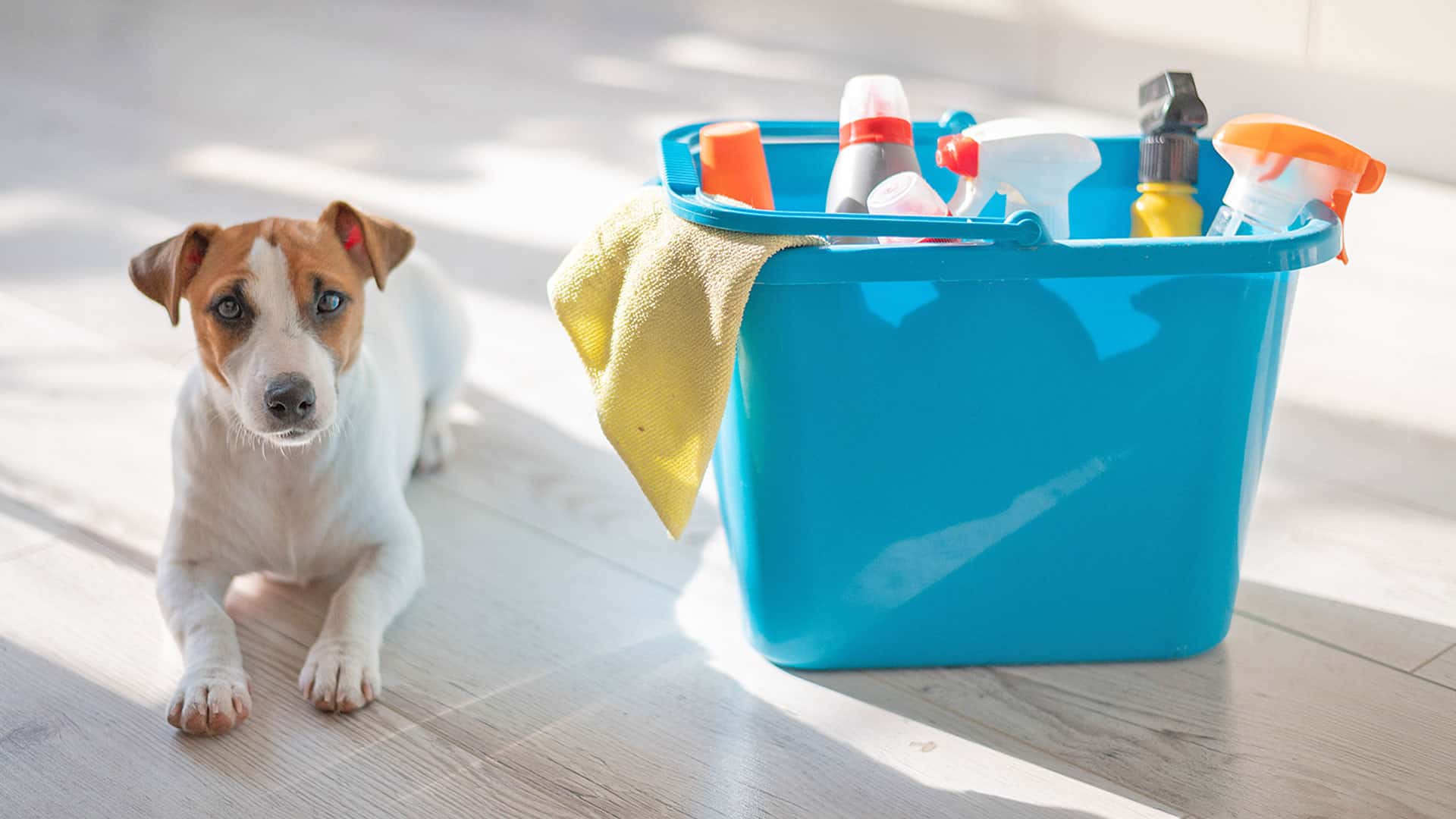 10 Minute Tips to Make House Cleaning Easier Home Tips