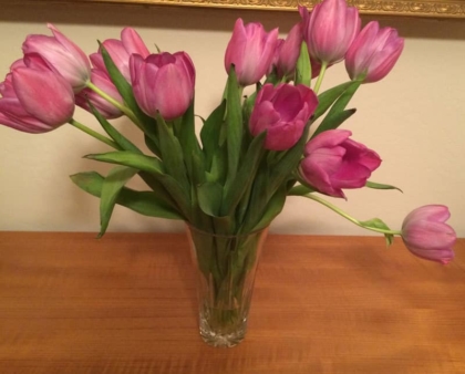 flower arranging tips covering vases, flowers & how to display them