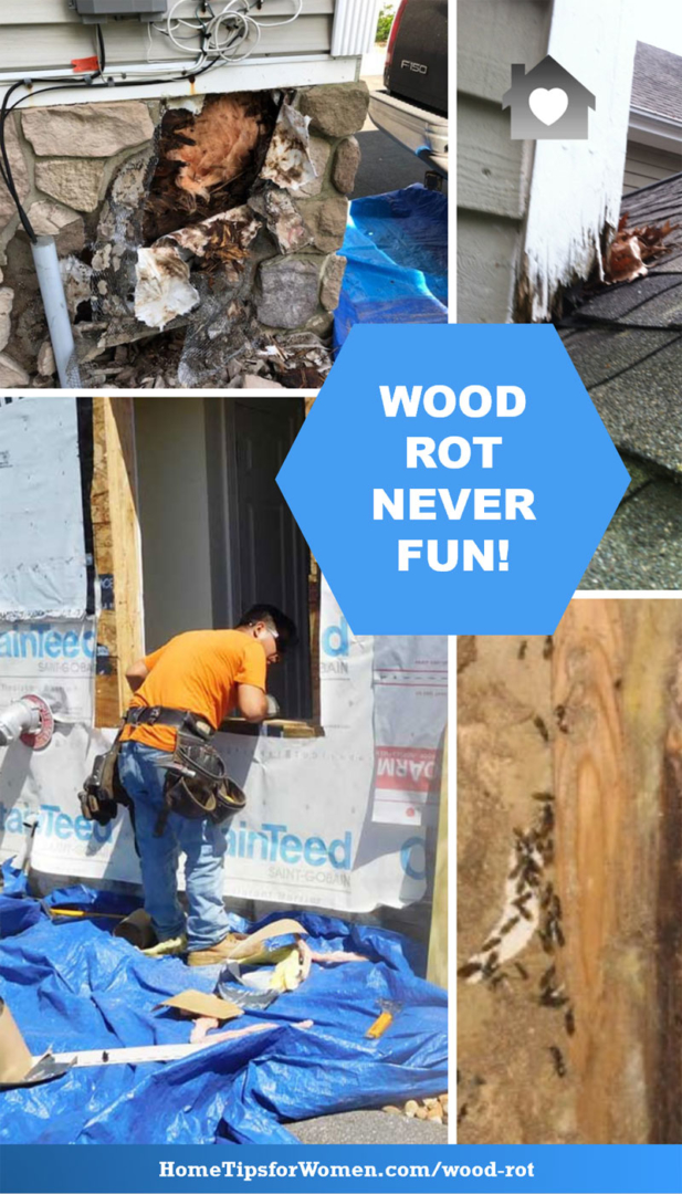 8 Wood Rot Repairs Your Home Might Need Home Tips for Women