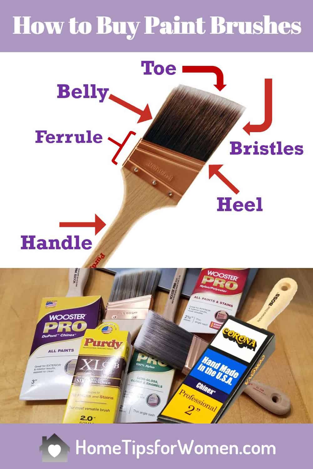 Which Paint Brushes Does a Homeowner Need? Home Tips for Women