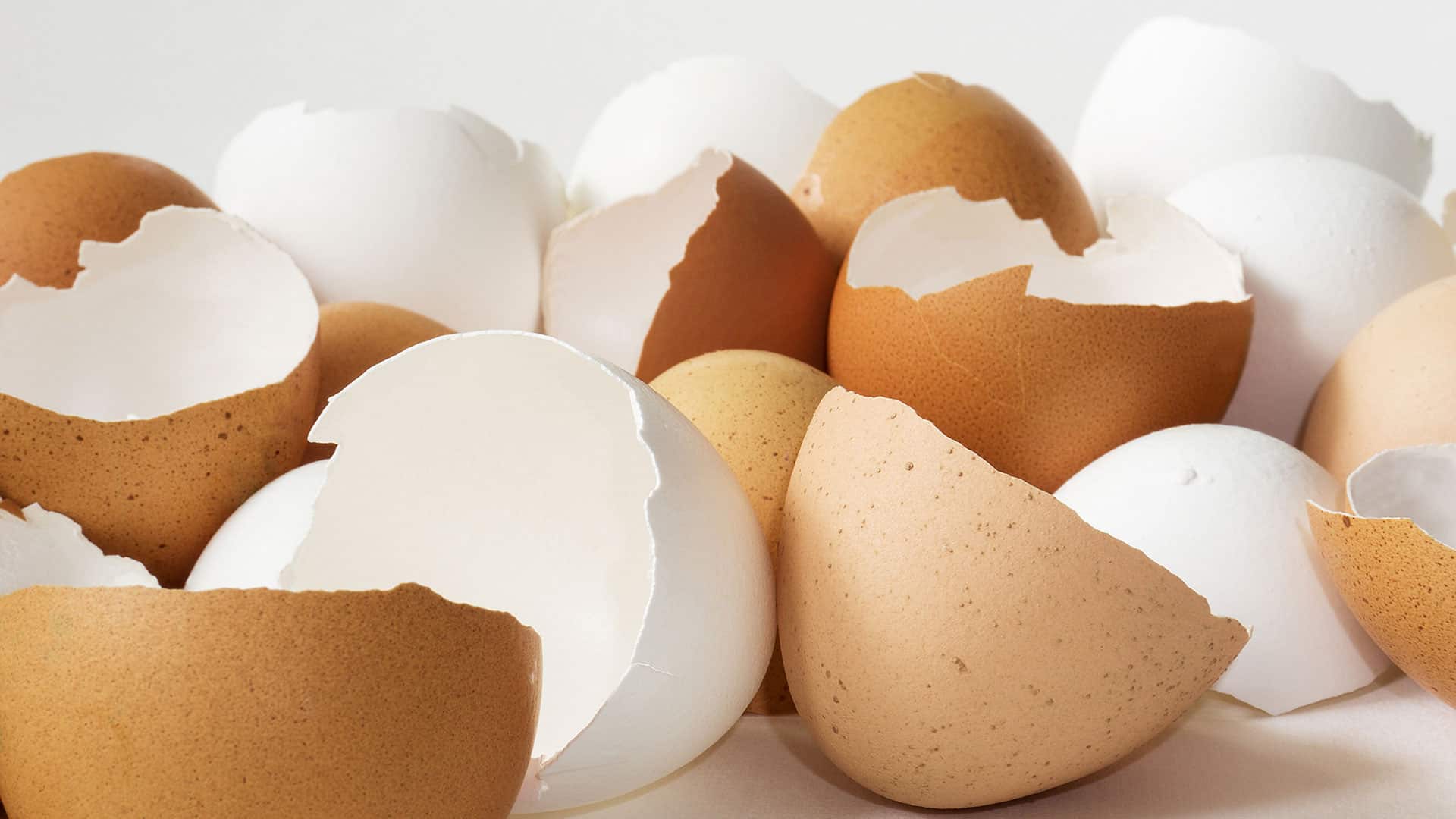 Popular Eggshell Paint Finish Home Tips for Women