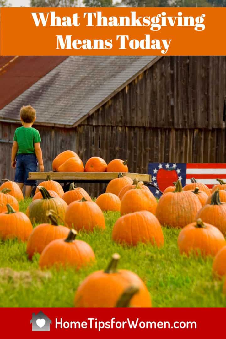 Small boy in field of pumpkins with barn in the background