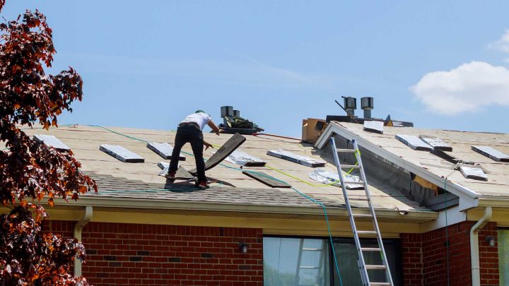 Roofers beginning to lay down  asphalt shingles, the final roof layer in the installation ...