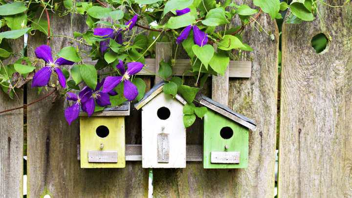 Most houses (our homes & bird houses too) start with 4 walls and a roof ...