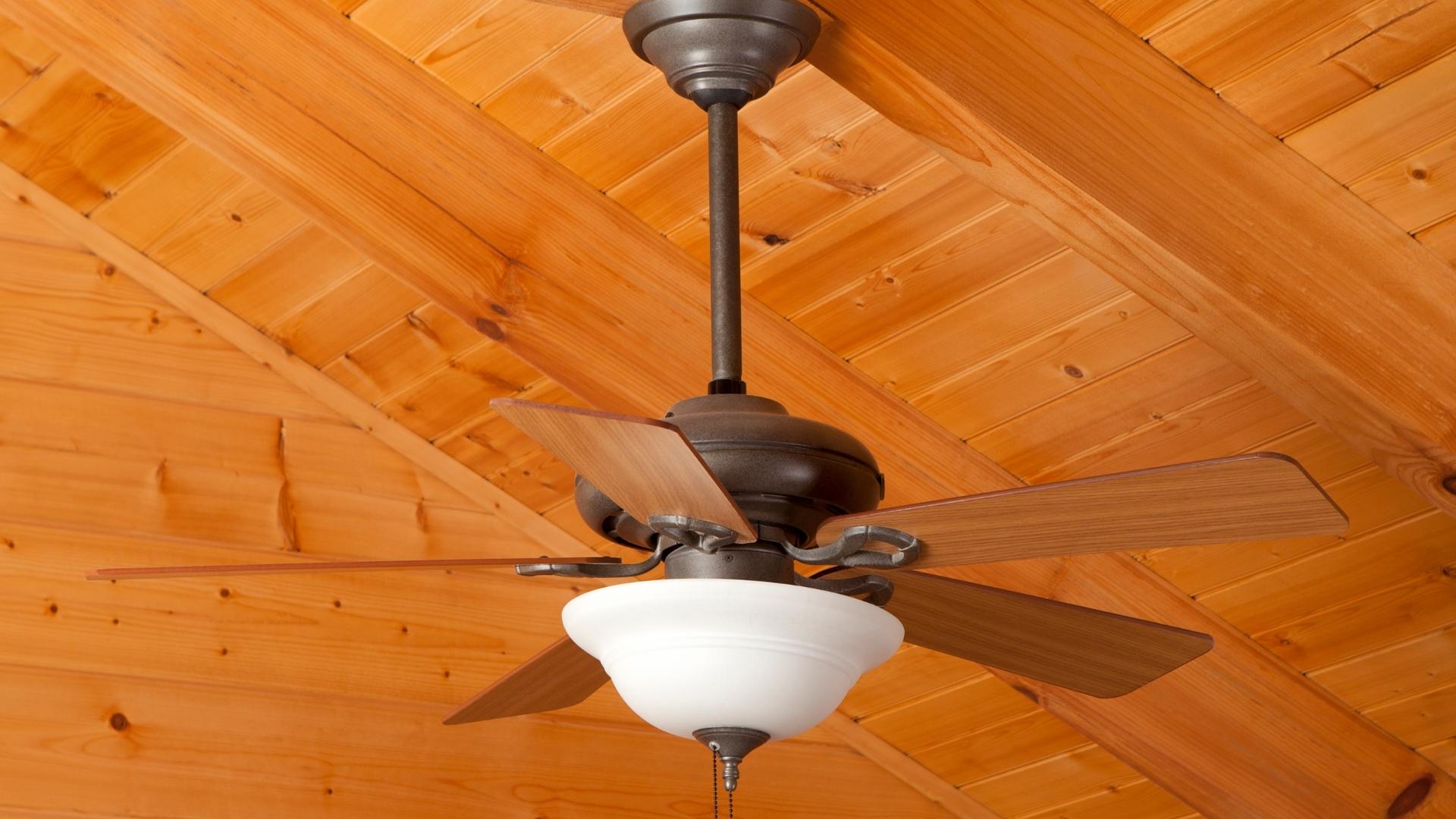 Ceiling Fans Can Be Used YearRound Home Tips for Women