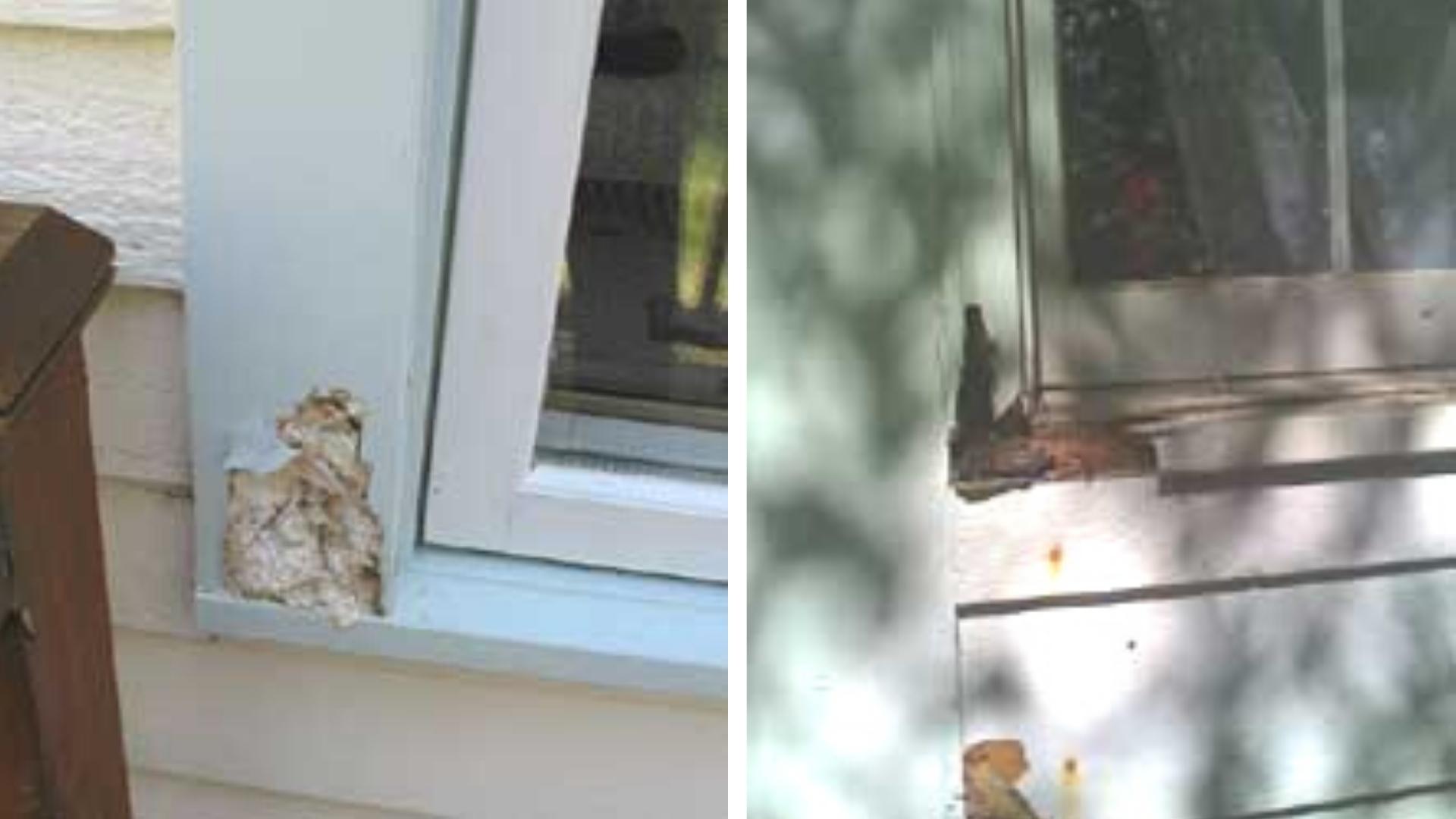 Repair Rotted Window Sill & Estimating Repair Costs Home Tips for Women