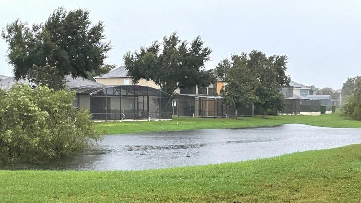 Some swales filled up with water earlier than my backyard, one technique used to prevent disasters ...