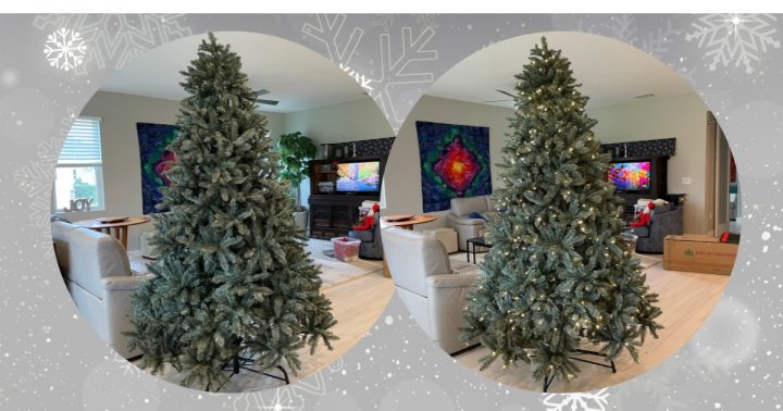 Showing fluffed Christmas tree without & with LED lights on the right ...